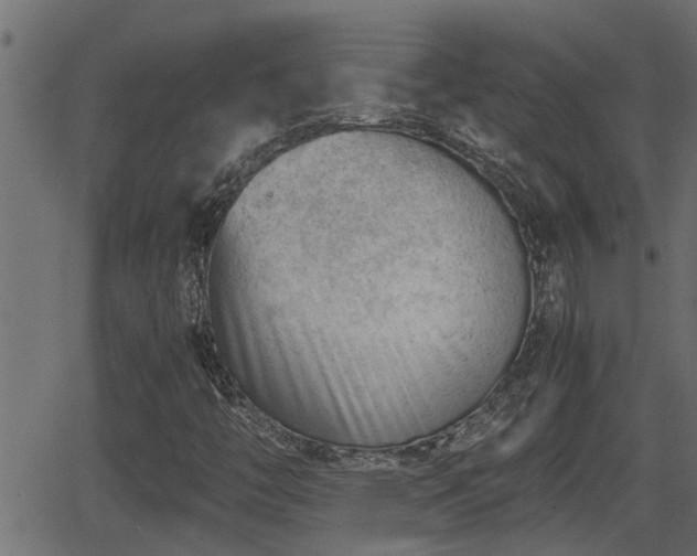 X0000062871446200601171409