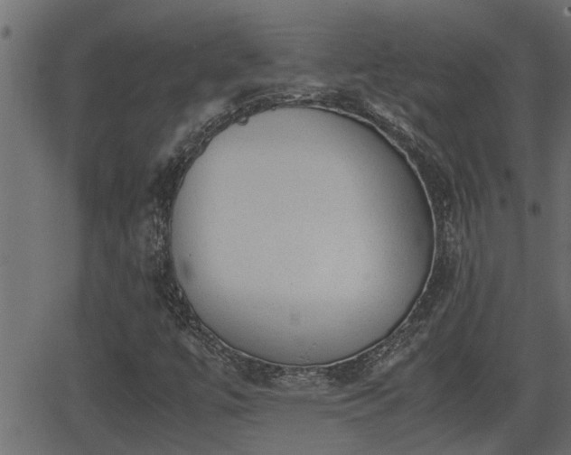 X0000062871447200601171409