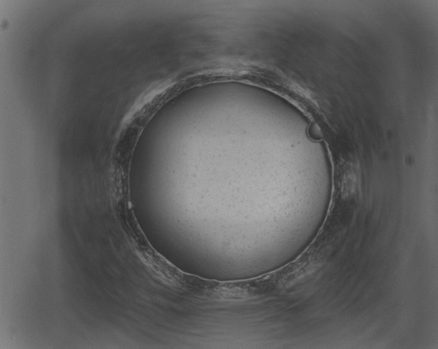 X0000062871448200601171409