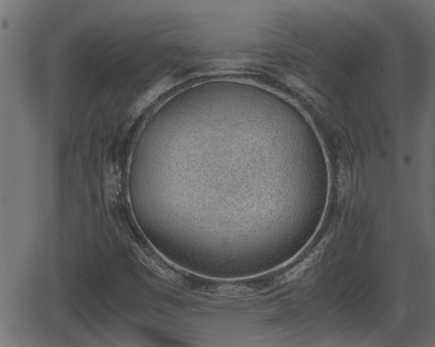 X0000062871449200601171409