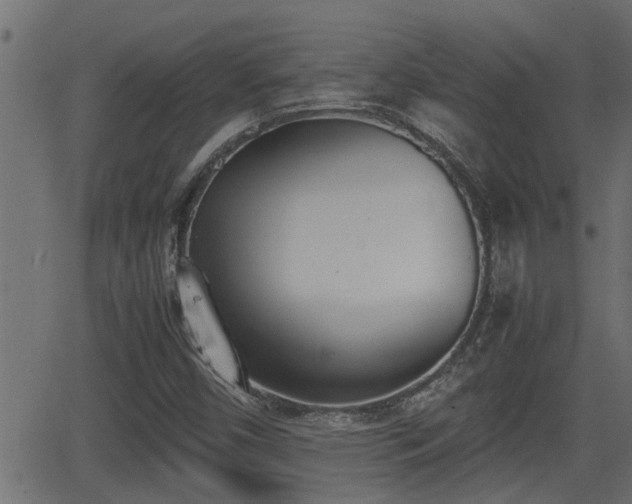 X0000062871450200601171409