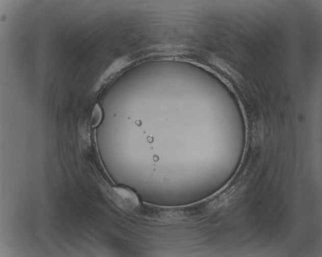 X0000062871451200601171409