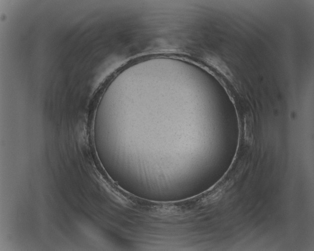 X0000062871452200601171409