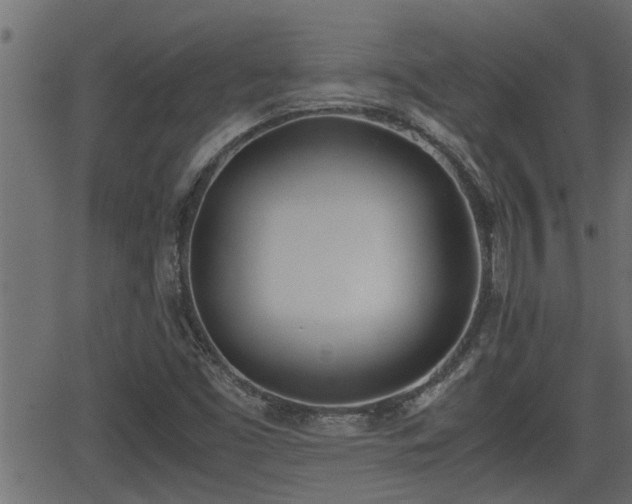 X0000062871453200601171409