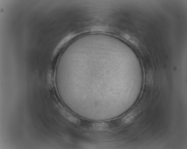 X0000062871454200601171409