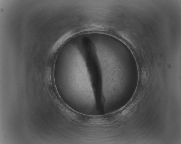 X0000062871455200601171409