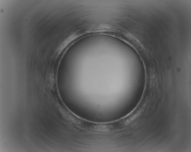 X0000062871457200601171409