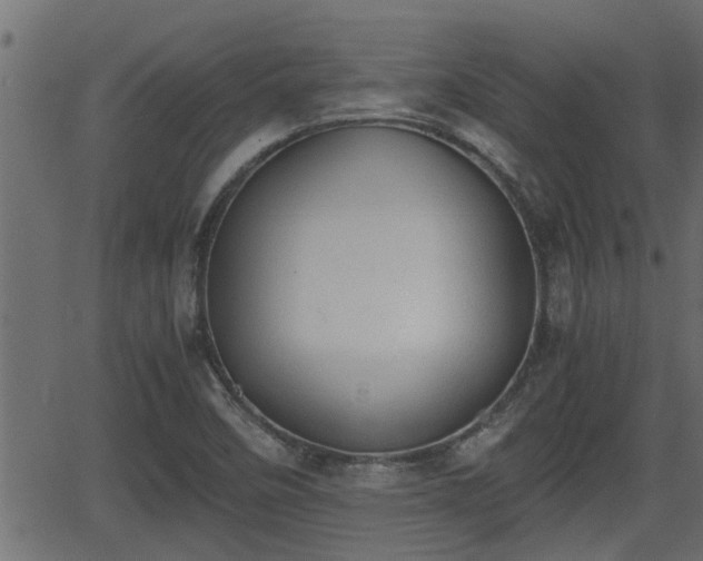 X0000062871458200601171409