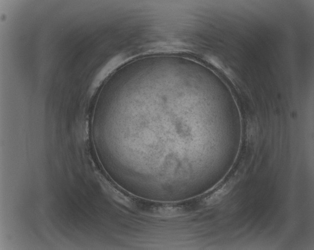 X0000062871459200601171409