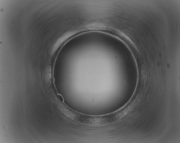 X0000062871461200601171409