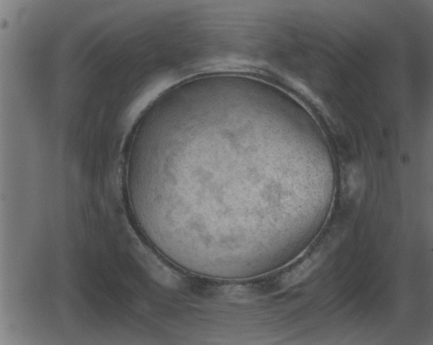 X0000062871463200601171409