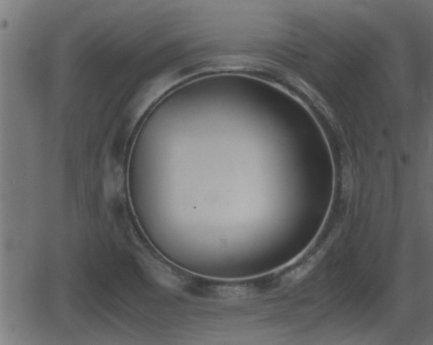 X0000062871465200601171408