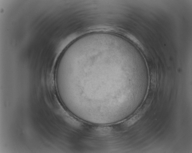 X0000062871466200601171408