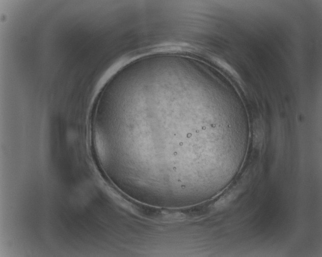 X0000062871467200601171408