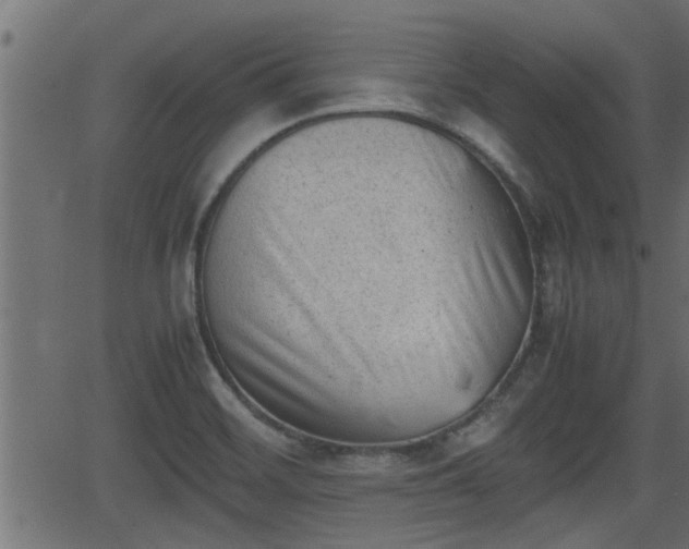 X0000062871468200601171408