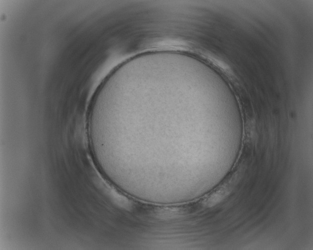 X0000062871470200601171408