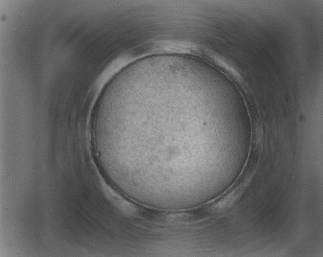 X0000062871471200601171408