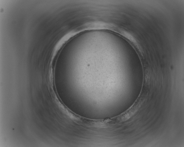 X0000062871472200601171408