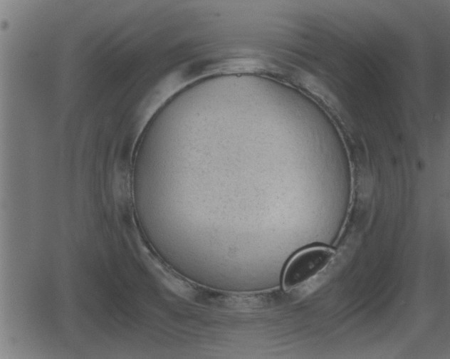 X0000062871473200601171408