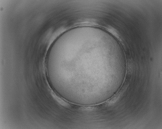 X0000062871474200601171408