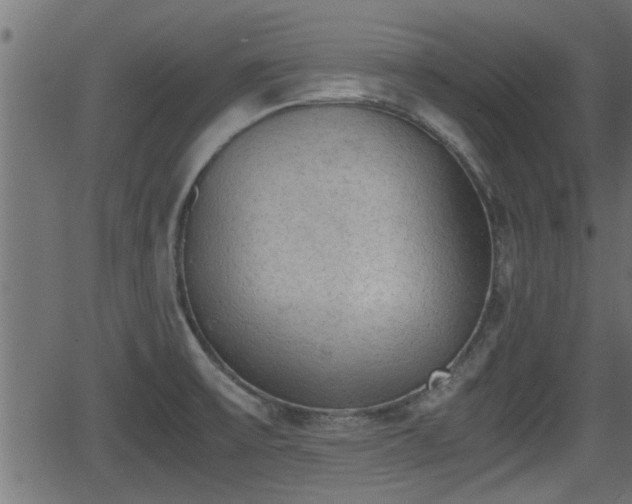 X0000062871475200601171408