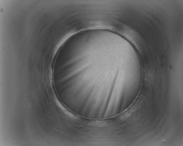 X0000062871476200601171408