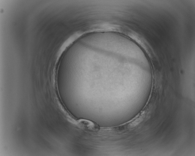 X0000062871477200601171408