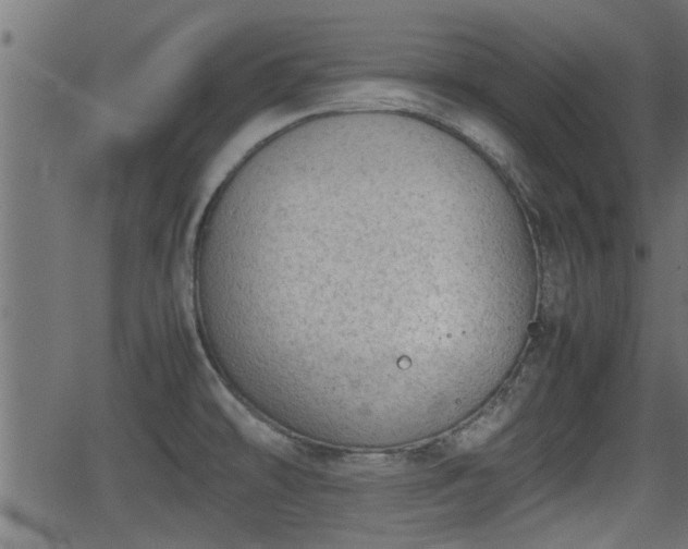 X0000062871478200601171408