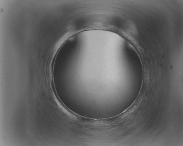 X0000062871479200601171408