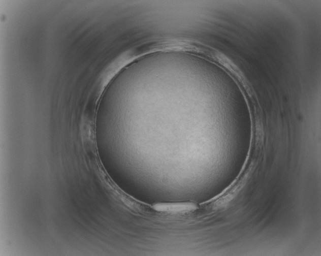 X0000062871481200601171408