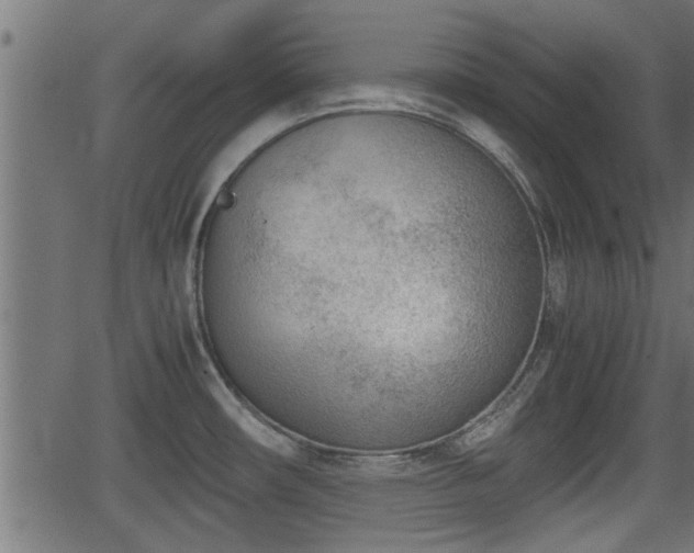 X0000062871482200601171408