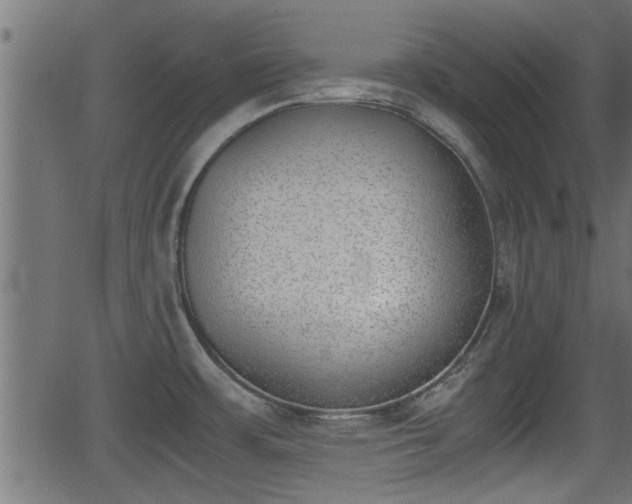 X0000062871483200601171408