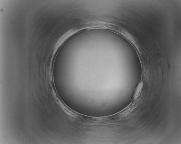 X0000062871485200601171408