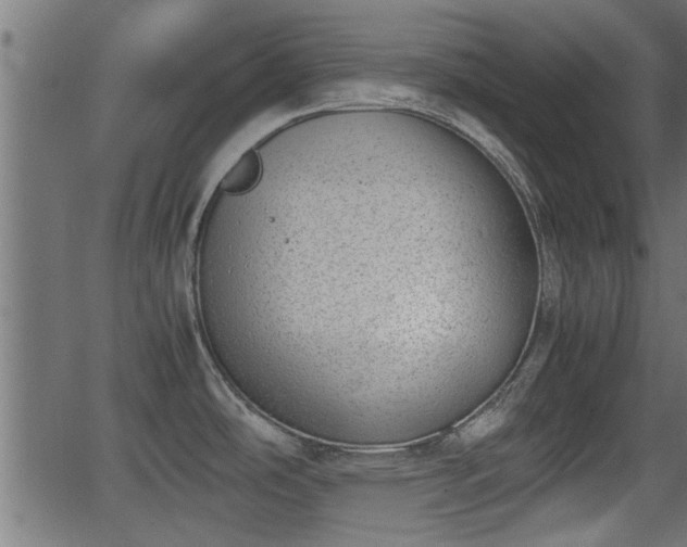 X0000062871486200601171408