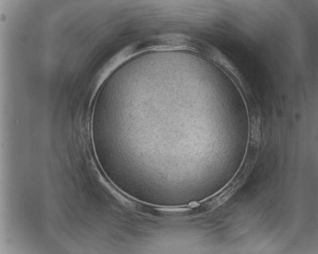 X0000062871487200601171408