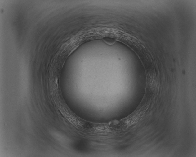 X0000062871489200601171407