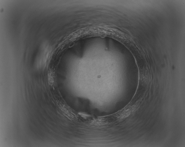 X0000062871490200601171407