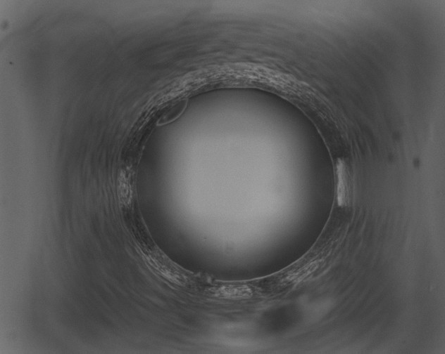 X0000062871491200601171407