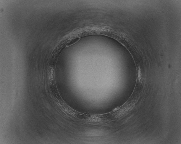 X0000062871492200601171407