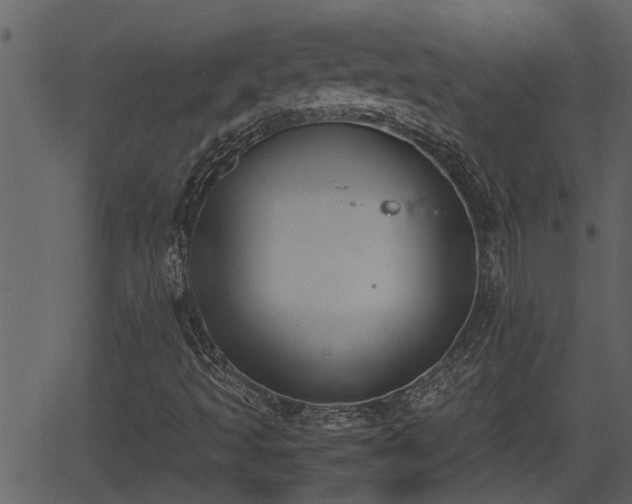 X0000062871493200601171407