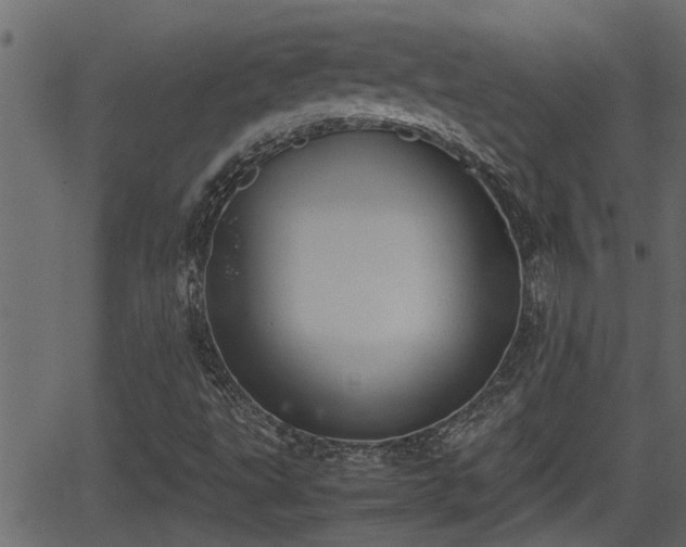 X0000062871495200601171407