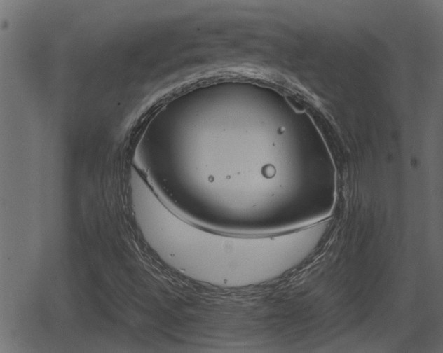 X0000062871496200601171407