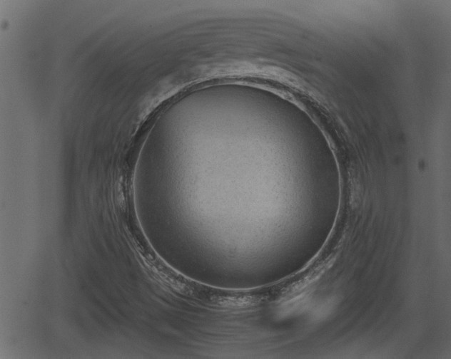 X0000062871497200601171407