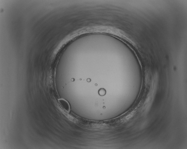 X0000062871498200601171407