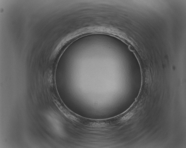 X0000062871499200601171407