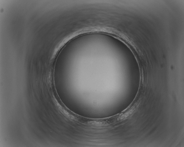 X0000062871500200601171407