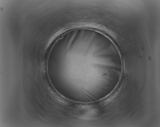 X0000062871501200601171408