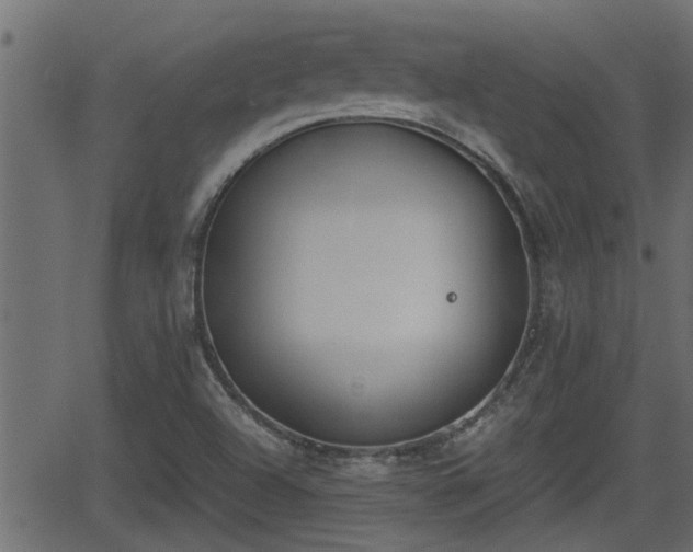 X0000062871504200601171408