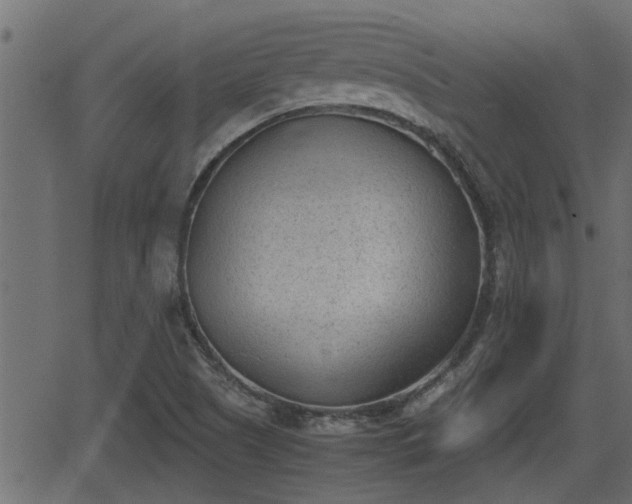 X0000062871505200601171408