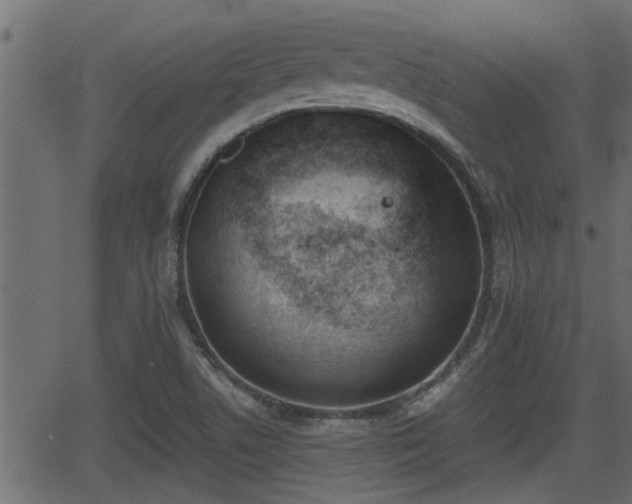 X0000062871506200601171408